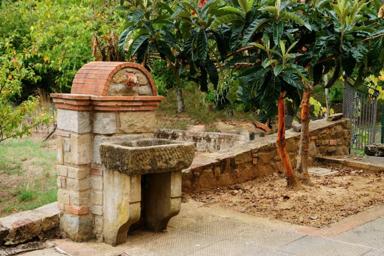 Podere Del Griccia Civitella in Val di Chiana